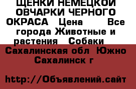 ЩЕНКИ НЕМЕЦКОЙ ОВЧАРКИ ЧЕРНОГО ОКРАСА › Цена ­ 1 - Все города Животные и растения » Собаки   . Сахалинская обл.,Южно-Сахалинск г.